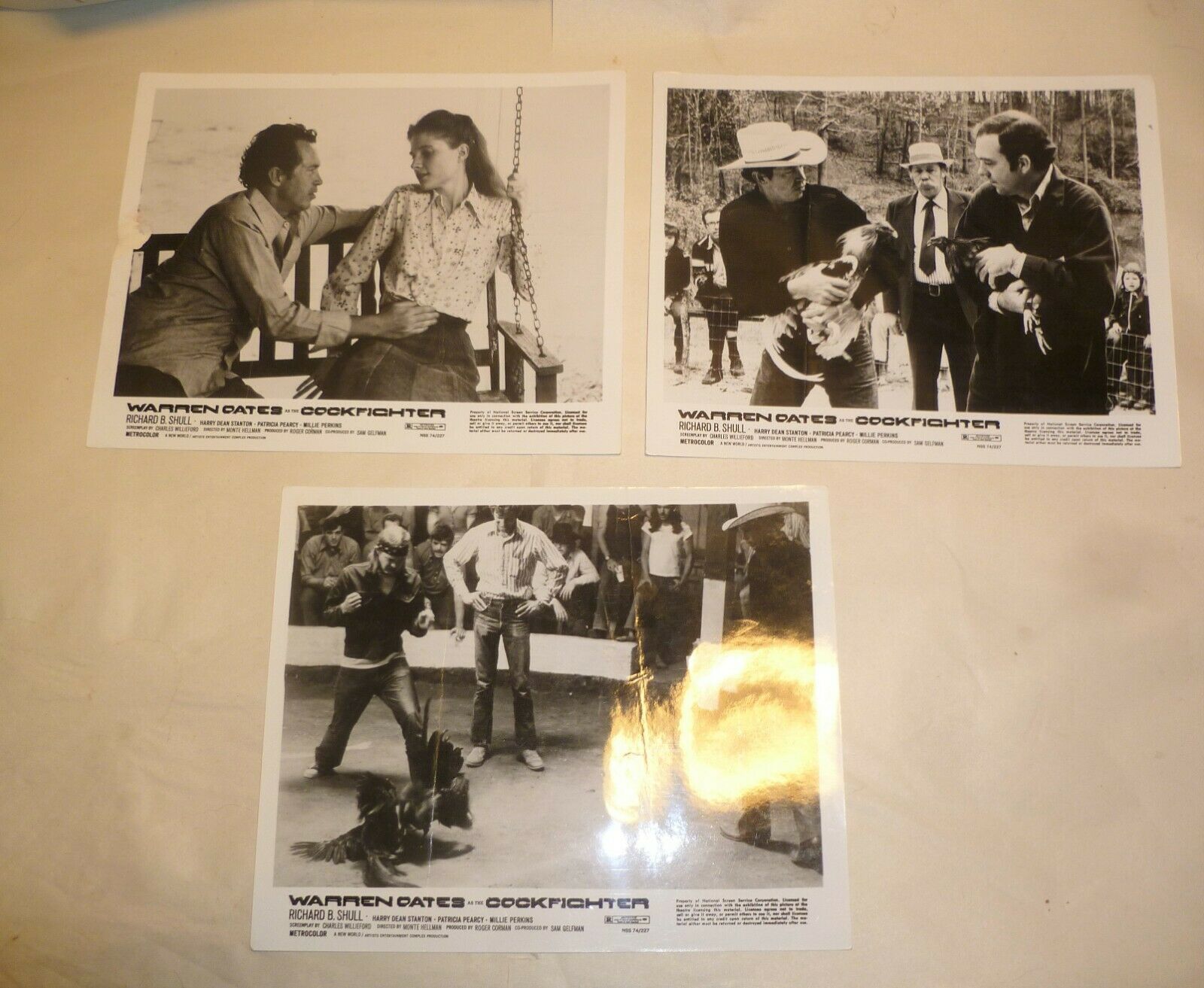 3 Vintage Cockfighter Lobby Cards Movie Poster - Born to Kill - Warren Oates